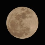 poached_moon
